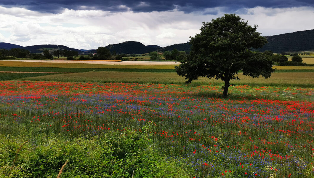 parco di colfiorito